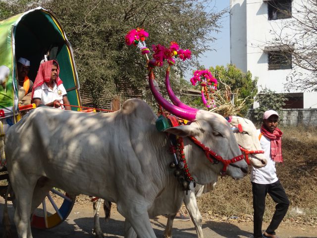 Satara
